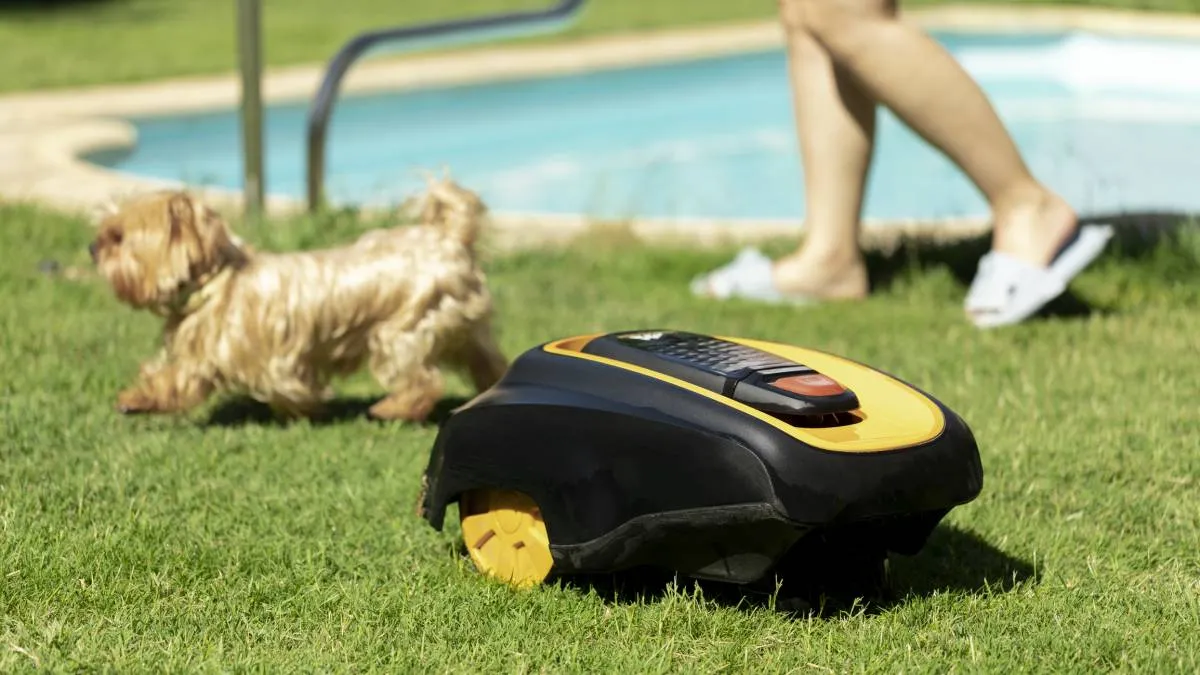 Robot tondeuse et vie de famille : ce qu’il faut vraiment vérifier