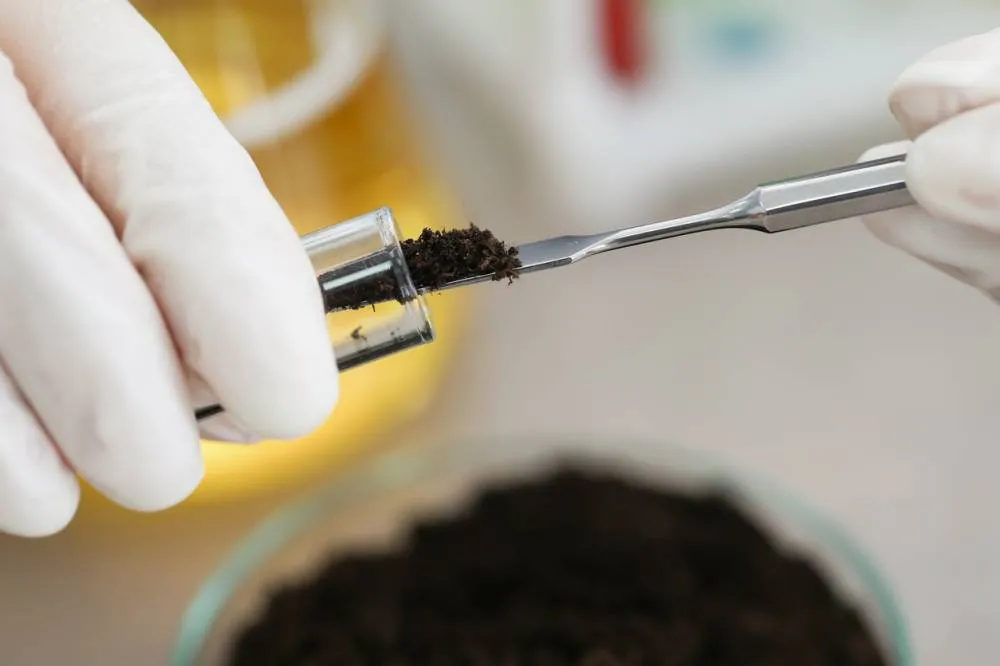 expertise environnementale pollution des sols
