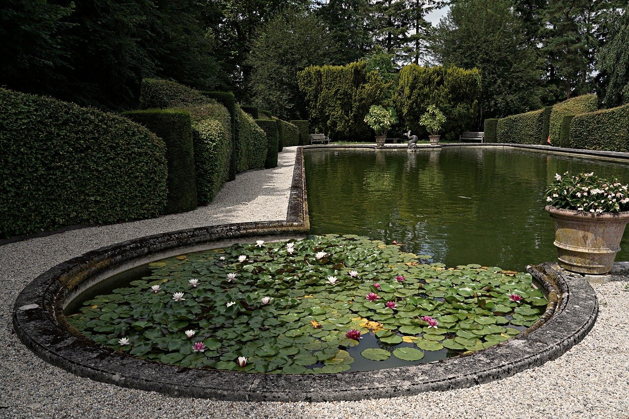 Une pompe Oase pour transformer votre bassin de jardin
