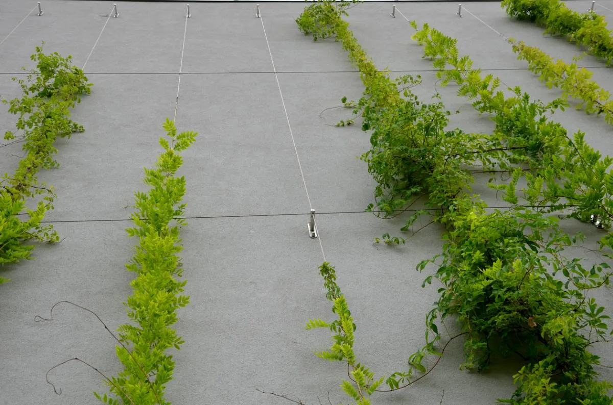 Quel câble inox choisir pour votre projet extérieur ?