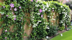 aménagement jardin