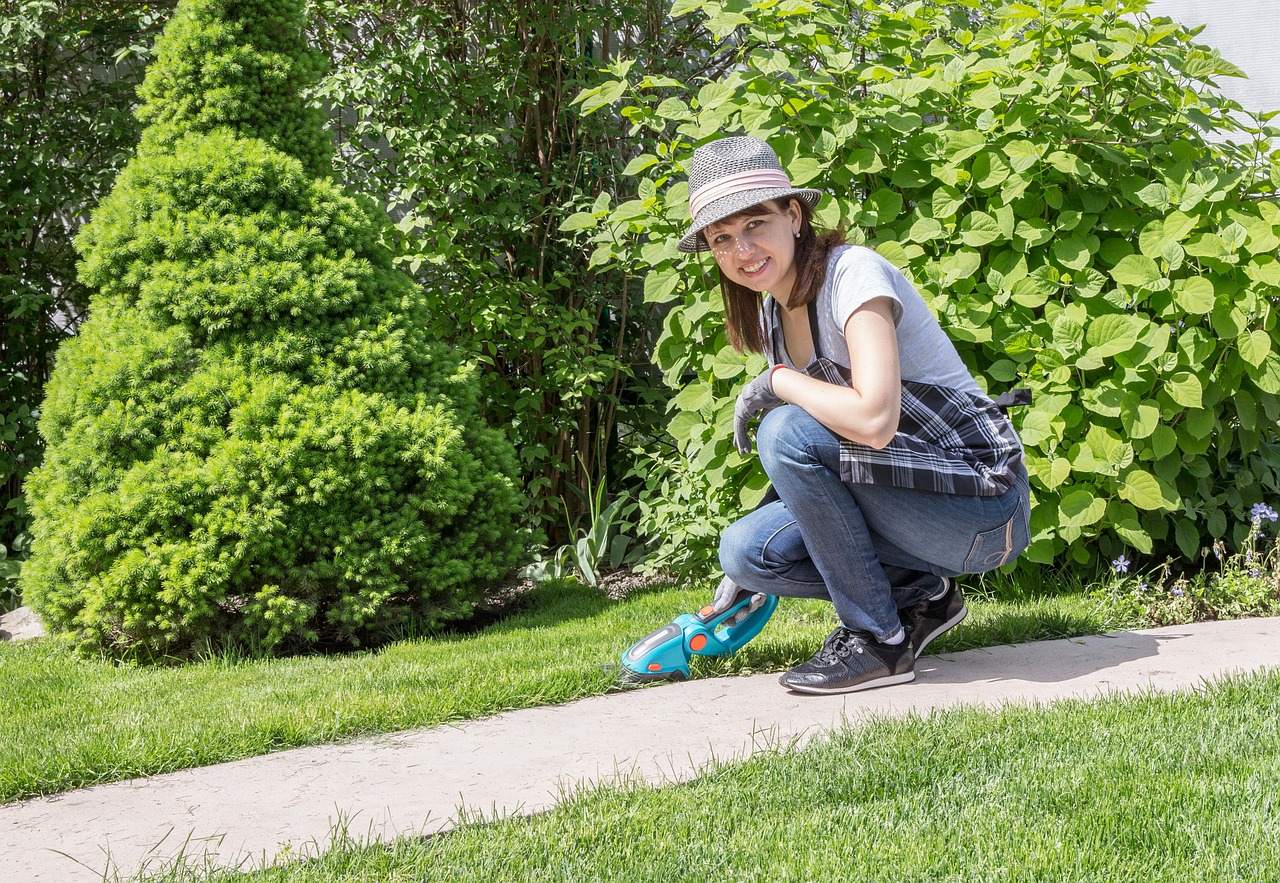 Comment créer un jardin respectueux de l’environnement chez soi ?