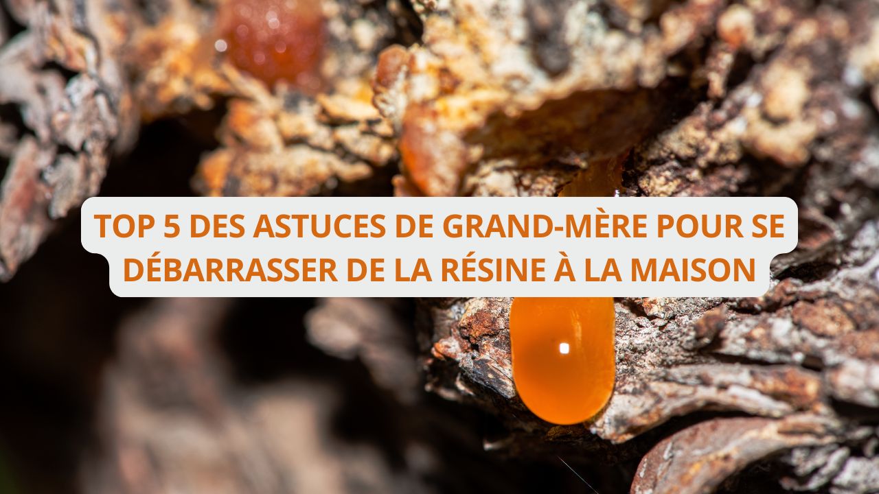 Top 5 des astuces de grand-mère pour se débarrasser de la résine à la maison