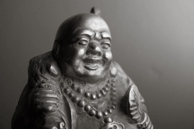 Shui Bien Avis : Découverte d’une Référence Montante en Feng Shui
