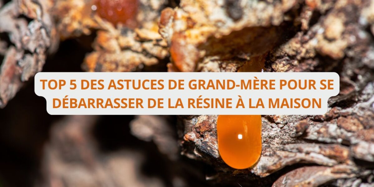 résine